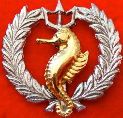 SA Navy - Bi Metal Air/Sea Rescue Flotilla  -original pins