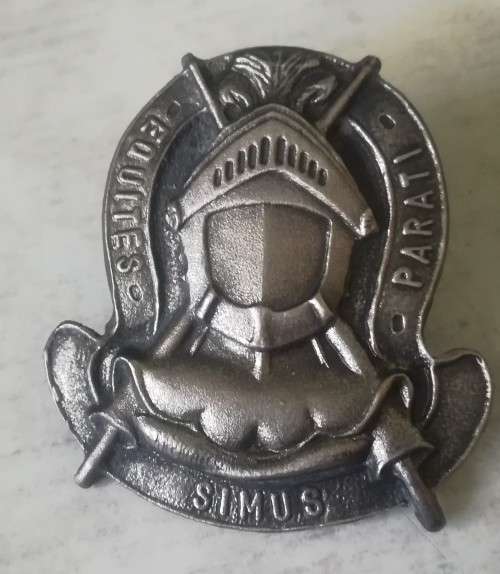 SADF - Infantry Equestrian beret badge - Original