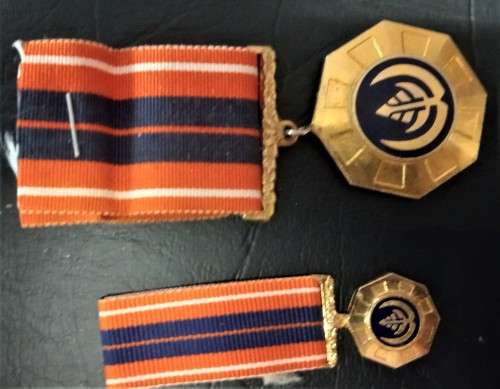 SADF - PRO PATRIA with minauture - Bargain price & Very short listing