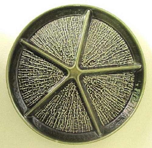 Carlton Ware starfish snack dish