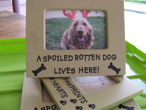 ***Great Gift - Photo Frame for your Pet - Dog