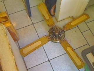Ceiling Fan (COLLECTION ONLY !!!!!!)