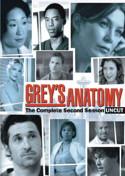Greys Anatomy season full season 2 (NEW)