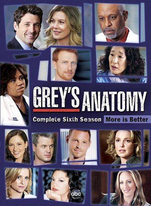 Greys Anatomy season full season 6 (NEW)