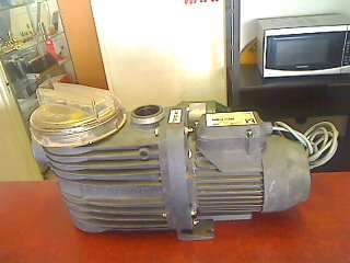 Speck Porpoise Aqua Drive Pool Pump 1.1 KW (Collection Only !!!!!)