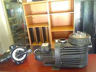 Speck Porpoise 0.45 Pool Pump + Multi Port Valve (Collection Only !!!!!!!)