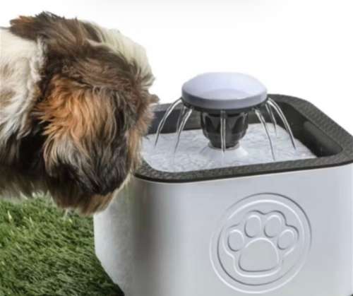 *PET WATER FOUNTAIN
