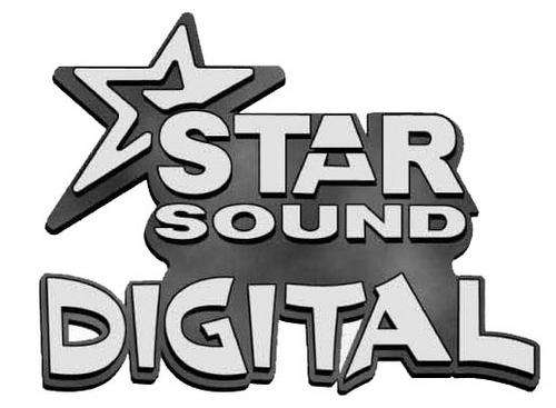 STAR SOUND DIGITAL 5600 WATT MONOBLOCK AMP