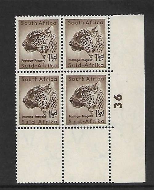 cylinder block  36 leopard  definitive  54-