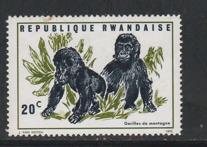 RWANDA      GORILLES