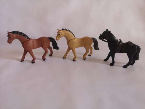 Playmobil Horse and Stable Set