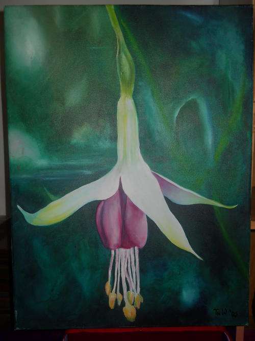 Oil on Canvas 60 X 45cm by Tatjana Wietzorrek