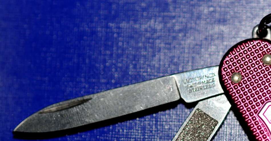 Victorinox Swiss Army Classic SD Pocket Knife-Pink