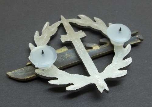 *CRAZY R1 START* SA Navy - Strike Craft Flotilla badge