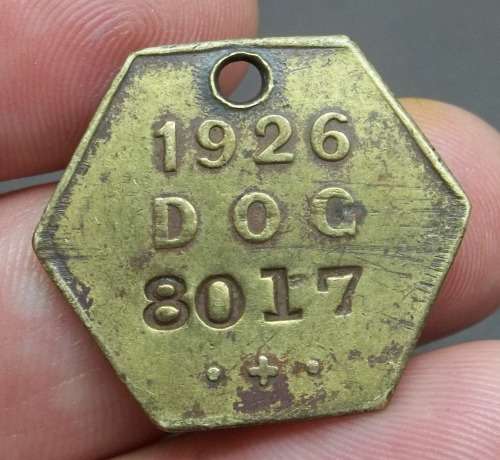 *CRAZY R1 START* 1926 City of Cape Town dog license