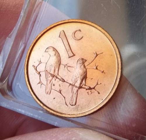 *CRAZY R1 START* RSA 1 Cent 1965E - Proof coin