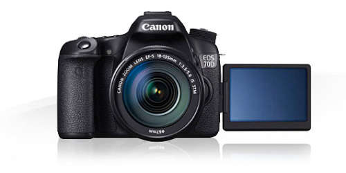 Canon EOS 70D with 18-55mm STM and 55-250mm Lens