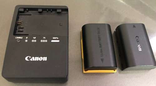 Canon EOS 70D with 18-55mm STM and 55-250mm Lens