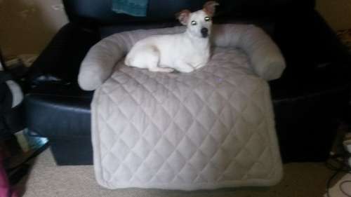 Sofa Buddy Pet Bed Furniture cover - size Large