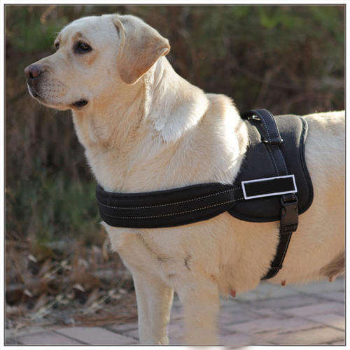 Dog Harness Set with reflective safety - Size: Small (60-75 CM)