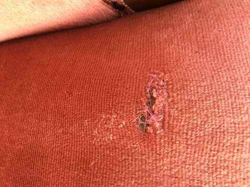 Incredible vintage button back Queen Anne Sofa in lovely condition