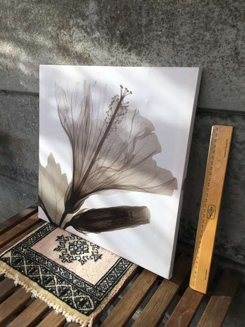 WOW !!! A STUNNING SCREEN PRINT ON CANVAS AND BLOCK MOUNTED