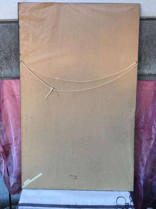 WOW !!! A STUNNING LARGE PRINT OF EDIBLE MUSHROOMS