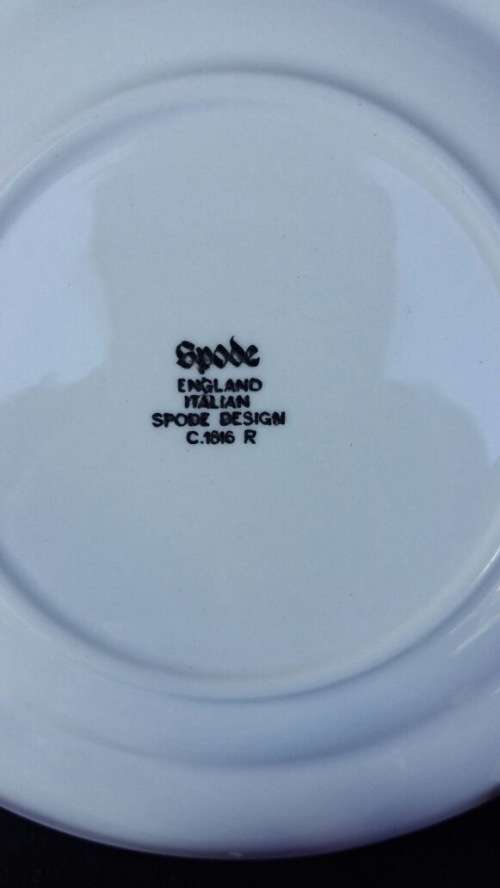 WOW !!!  A GORGEOUS SPODE TEA CUP AND SAUCER DUO