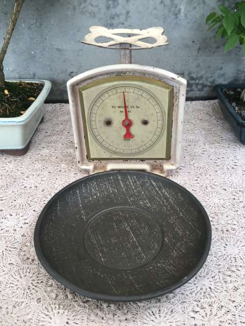 WOW !!! LOVELY VINTAGE KITCHEN / GROCER SCALE MADE BY EFFEM WITH THE ORIGINAL TRAY AND WORKING