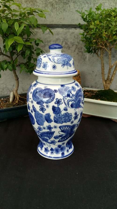 Stunning Genuine Ming Blue and White Butterfly and Floral Design Porcelain Vase with Lid