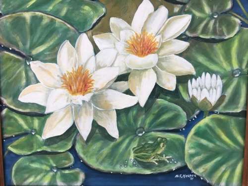STUNNING FRAMED OIL ON BOARD OF WATER LILIES BY SA ARTIST A.S.HARPER 1991 signed