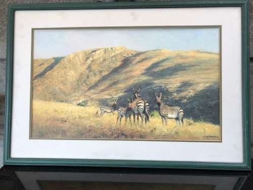 WOW !!!  STUNNING DAVID SHEPPARD LIMITED EDITION PRINT OF MOUNTAIN ZEBRA signed in pencil 155/1250