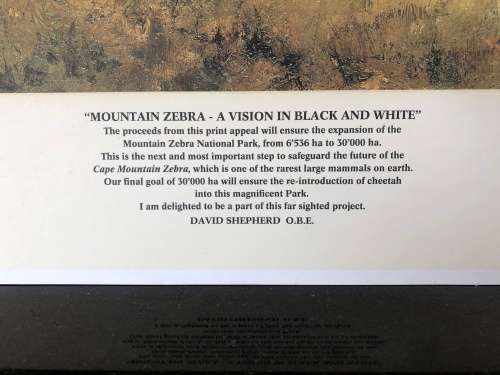 WOW !!!  STUNNING DAVID SHEPPARD LIMITED EDITION PRINT OF MOUNTAIN ZEBRA signed in pencil 155/1250