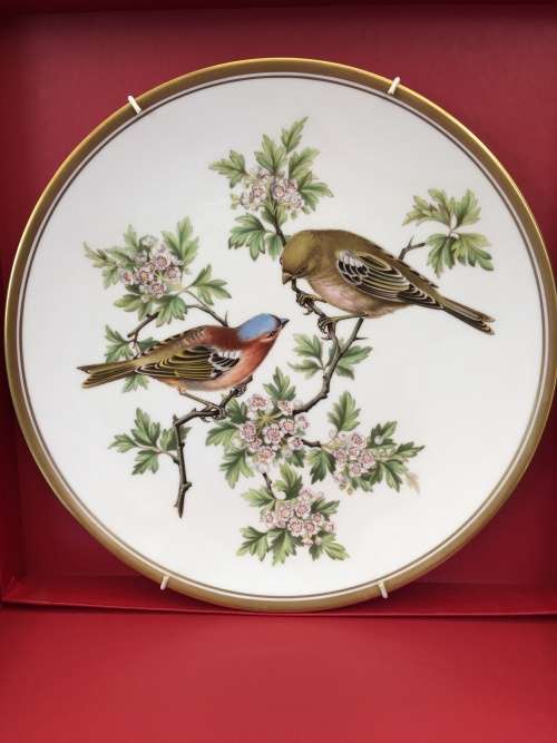 Highly Collectible "Garden Birds" no:4 Chaffinch Display Plate By Spode Fine Bone China England