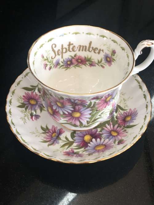 Beautiful Royal Albert "Michaelmas Daisy" Flower of the Month September Tea Cup and Saucer
