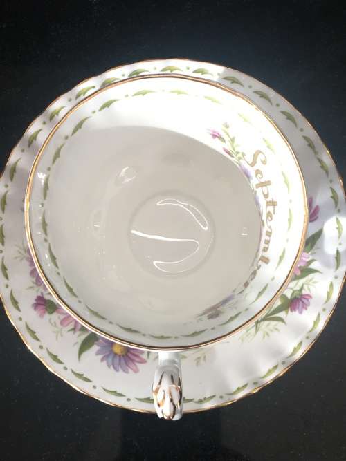 Beautiful Royal Albert "Michaelmas Daisy" Flower of the Month September Tea Cup and Saucer