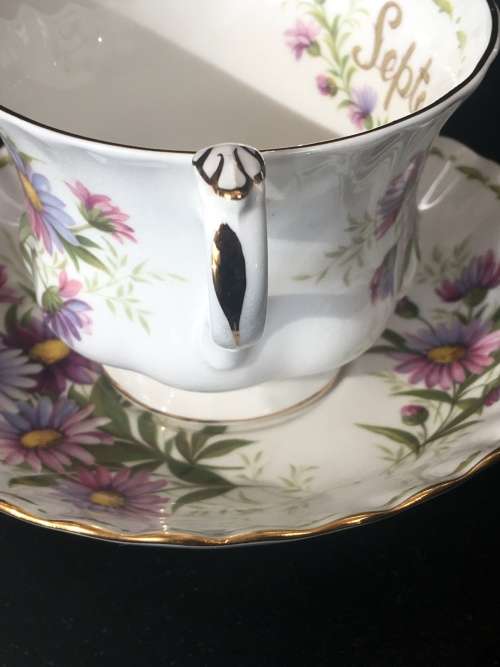 Beautiful Royal Albert "Michaelmas Daisy" Flower of the Month September Tea Cup and Saucer