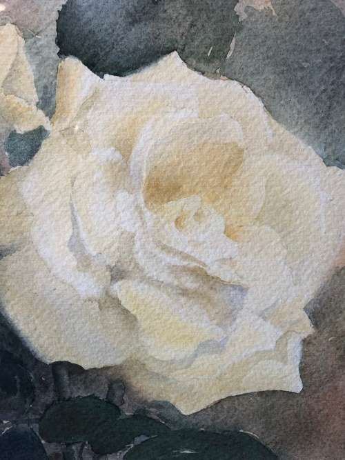 WOW !!!! FAMOUS SA ARTIST JOHN CULLINGWORTH ORIGINAL FRAMED WATERCOLOR , SIMPLY STUNNING PAINTING