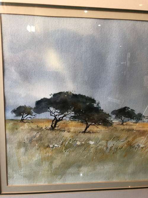 WOW !!!! FAMOUS SA ARTIST PENNY STEYNOR LARGE FRAMED WATERCOLOR LANDSCAPE ~ HIGH VALUE PAINTING