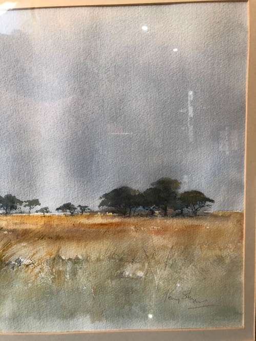 WOW !!!! FAMOUS SA ARTIST PENNY STEYNOR LARGE FRAMED WATERCOLOR LANDSCAPE ~ HIGH VALUE PAINTING
