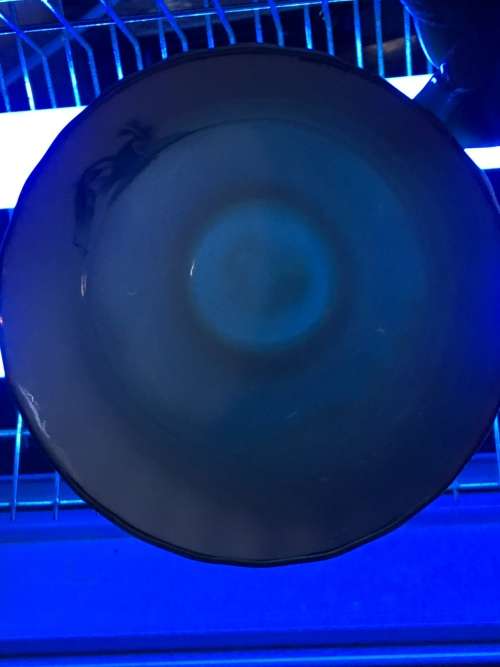 Absolutely Beautiful  Royal Albert Bone China "Trillium" Green & Gold Gilt Trio, Like New