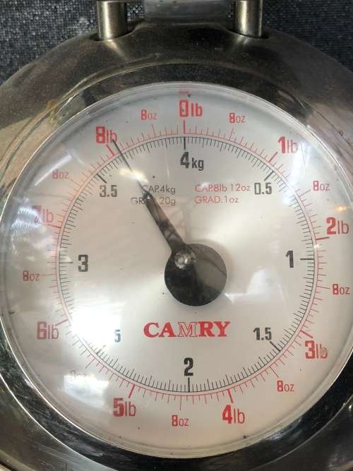 INVESTMENT ART !! LARGE ORIGINAL BRONZE SCULPTURE OF A HORNBILL COMMISSIONED BY BRONZE AGE FOUNDRY