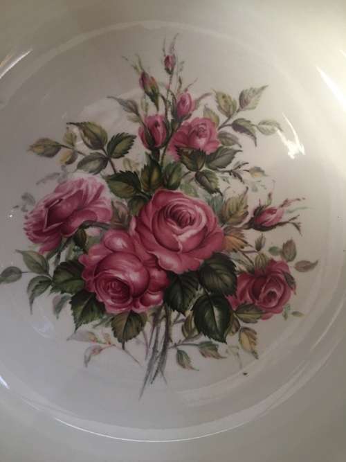 Beautiful Large Vintage Ladies Portmeirion Red Rose Potty, Ideal as planter or display