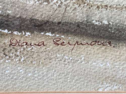WOW !!! STUNNING ORIGINAL WATER COLOUR BY TALENTED SA ARTIST DIANA SEYMOUR - SIGNED
