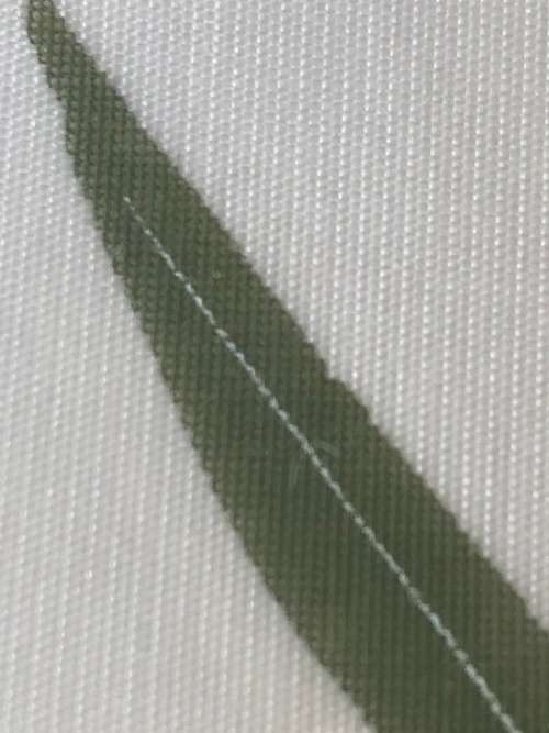 WOW !!! STUNNING CHINESE PAINTING ON SILK FRAMED WITH CALLIGRAPHY