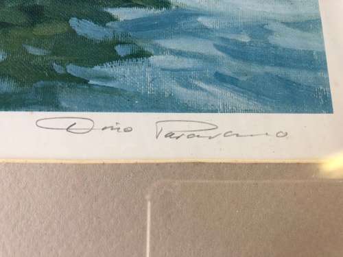 SA ARTIST DINO PARAVANO ~ STUNNING FRAMED LIMITED EDITION NUMBERED PRINT 187/200 SIGNED IN PENCIL