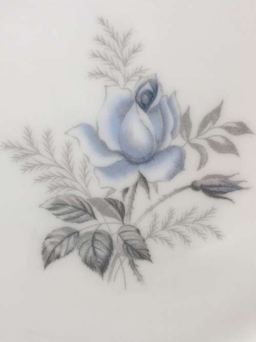 Stunning. 6 x 17.5cm Plates - Vintage Paragon "Morning Rose"By Appointment to Her Majesty The Queen.