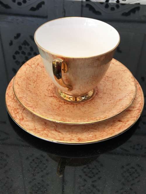 Wow!!! Collectors Rare  c1950s  Royal Albert Gossamer,Tan & Gold Gilt, Smooth Shape. Std Size.