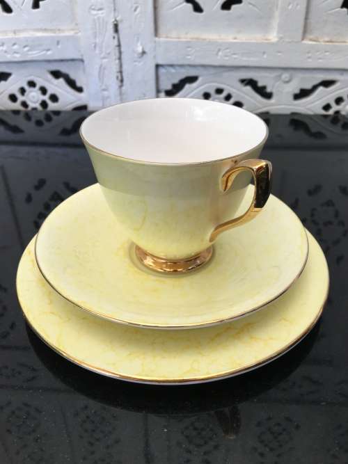 Wow!!! Collectors Rare  c1950s  Royal Albert Gossamer,Yellow & Gold Gilt, Smooth Shape. Std Size.