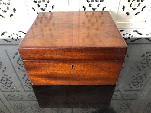 WOW !!! FANTASTIC ANTIQUE MAHOGANY CIGAR HUMIDOR INCLUDING A SOLINGEN CIGAR CUTTER